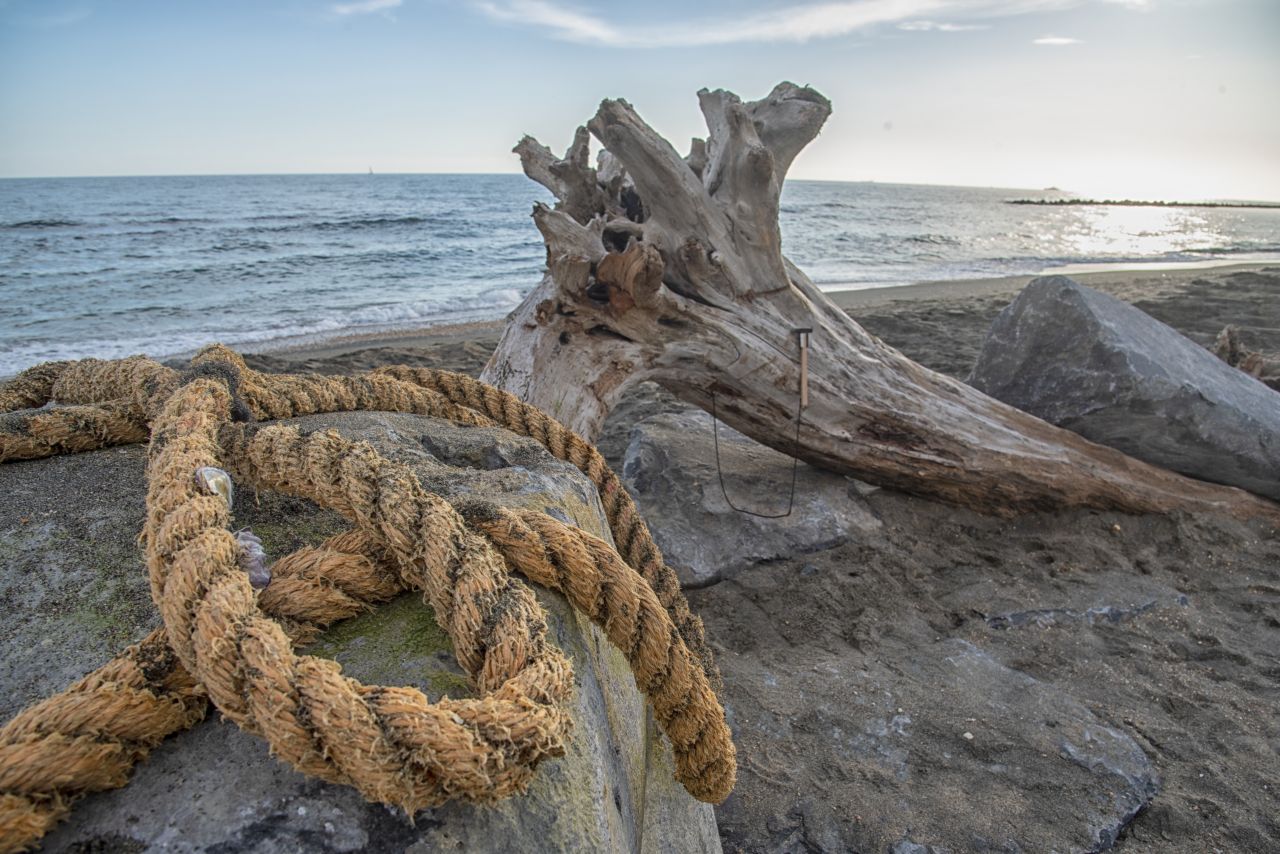 Il nuovo Albero dei desideri: un ricordo del passaggio dell''Amerigo Vespucci